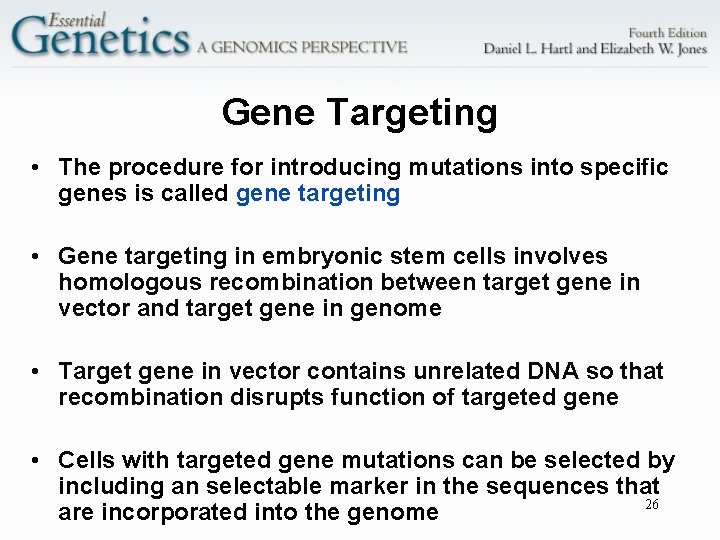 Gene Targeting • The procedure for introducing mutations into specific genes is called gene