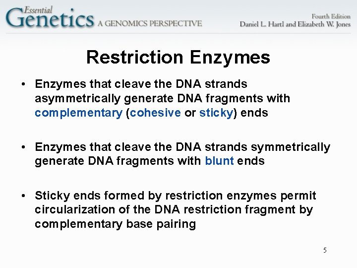 Restriction Enzymes • Enzymes that cleave the DNA strands asymmetrically generate DNA fragments with