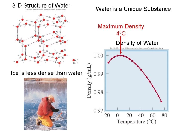 3 -D Structure of Water is a Unique Substance Maximum Density 4 0 C