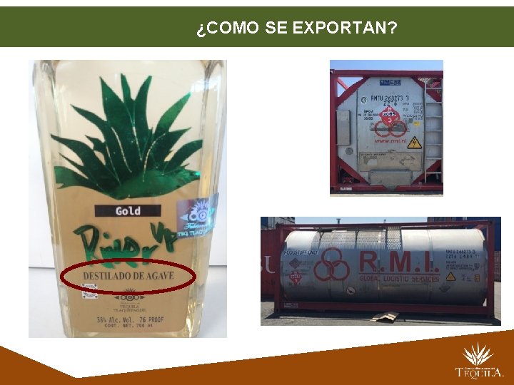 ¿COMO SE EXPORTAN? 