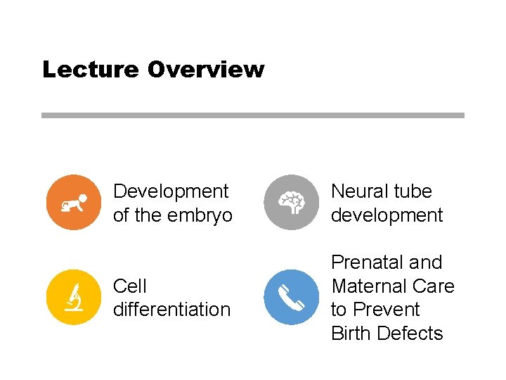 Lecture Overview Development of the embryo Neural tube development Cell differentiation Prenatal and Maternal