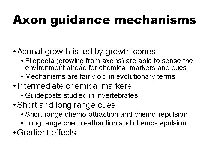 Axon guidance mechanisms • Axonal growth is led by growth cones • Filopodia (growing
