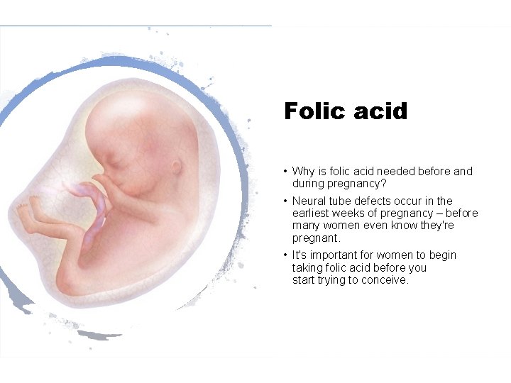 Folic acid • Why is folic acid needed before and during pregnancy? • Neural