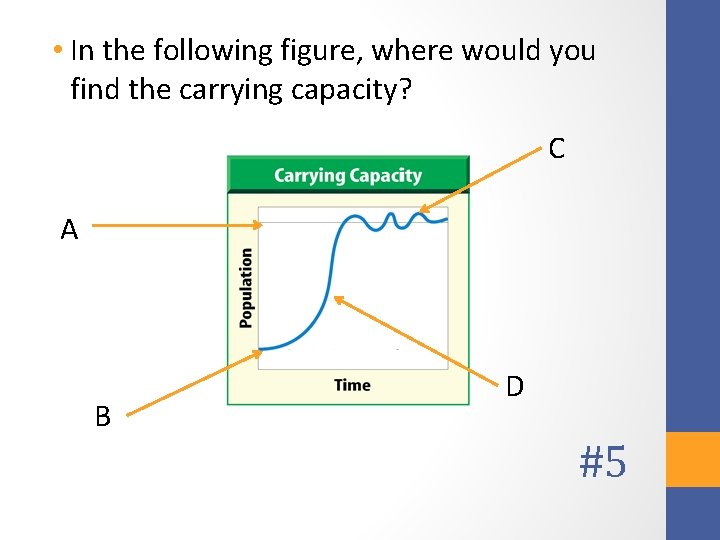  • In the following figure, where would you find the carrying capacity? C