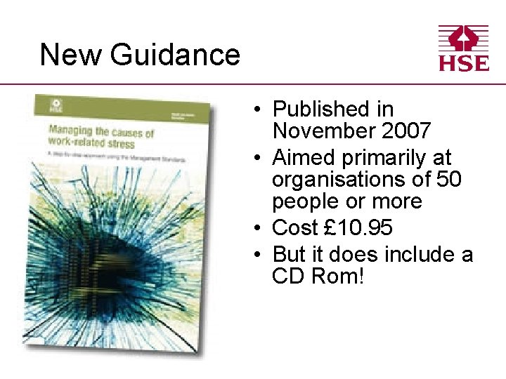 New Guidance • Published in November 2007 • Aimed primarily at organisations of 50