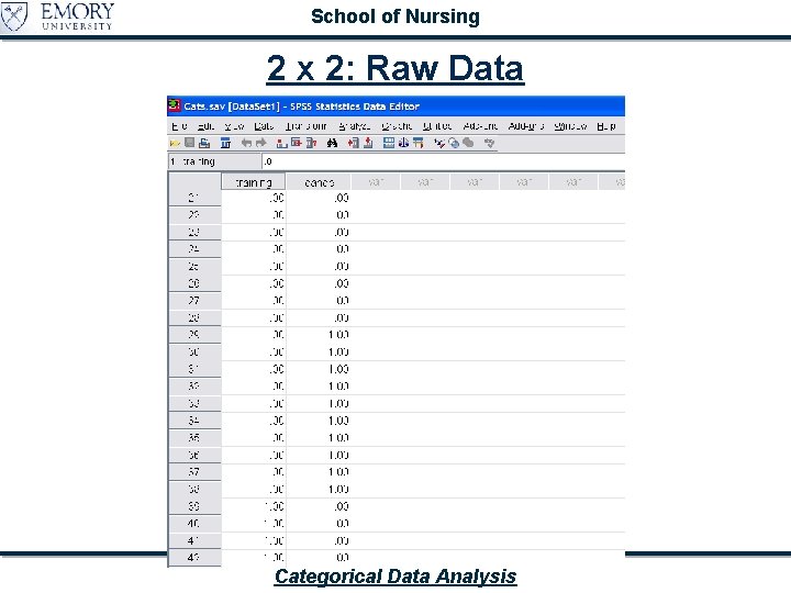 School of Nursing 2 x 2: Raw Data Categorical Data Analysis 