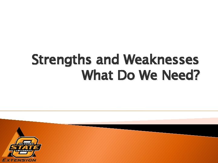 Strengths and Weaknesses What Do We Need? 