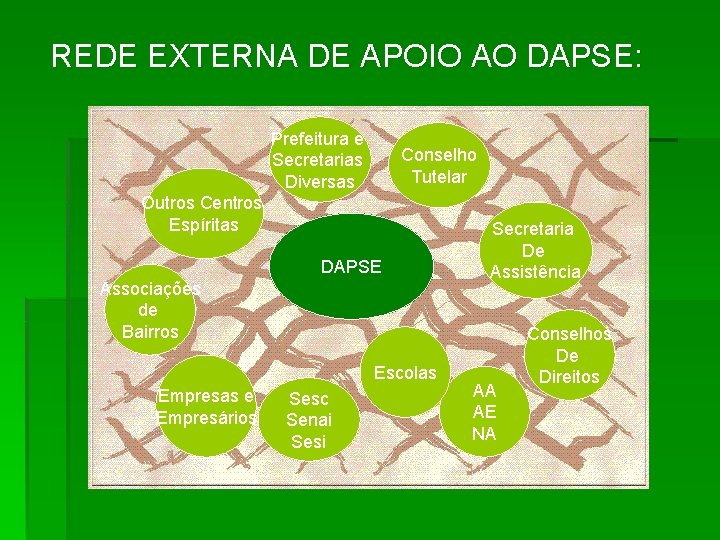 REDE EXTERNA DE APOIO AO DAPSE: Prefeitura e Secretarias Diversas Conselho Tutelar Outros Centros