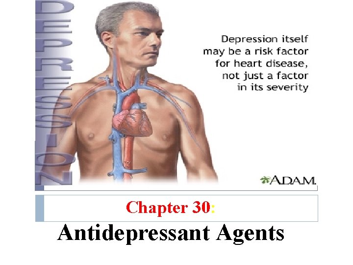 Chapter 30: Antidepressant Agents Chapter 30: Antidepressant Agents