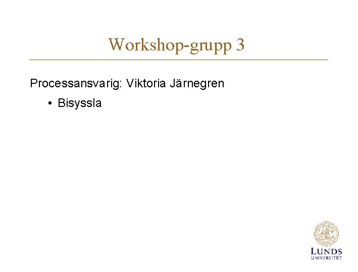 Workshop-grupp 3 Processansvarig: Viktoria Järnegren • Bisyssla 