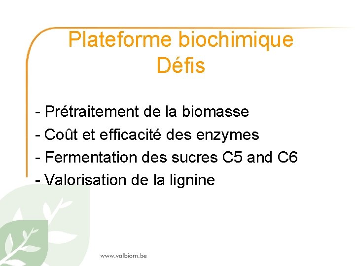 Plateforme biochimique Défis - Prétraitement de la biomasse - Coût et efficacité des enzymes