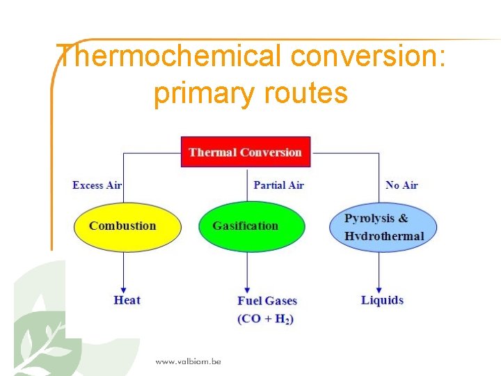 Thermochemical conversion: primary routes 