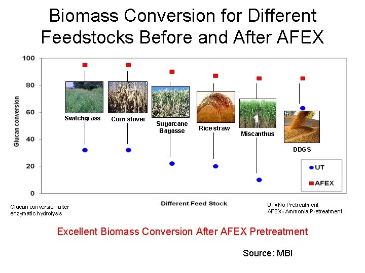 Biomass Conversion for Different Feedstocks Before and After AFEX Glucan conversion for various AFEX