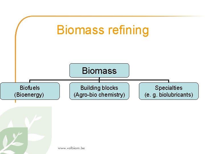 Biomass refining Biomass Biofuels (Bioenergy) Building blocks (Agro-bio chemistry) Specialties (e. g. biolubricants) 