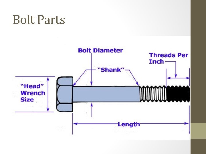 Bolt Parts 