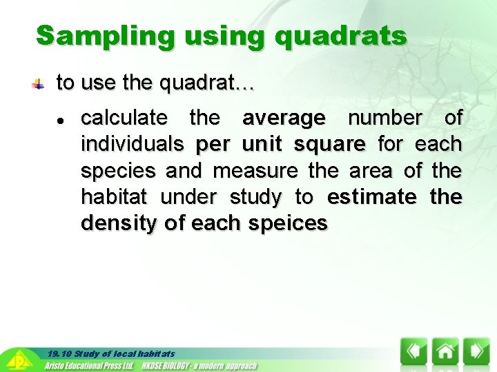 Sampling using quadrats to use the quadrat… l calculate the average number of individuals Sampling using quadrats to use the quadrat… l calculate the average number of individuals