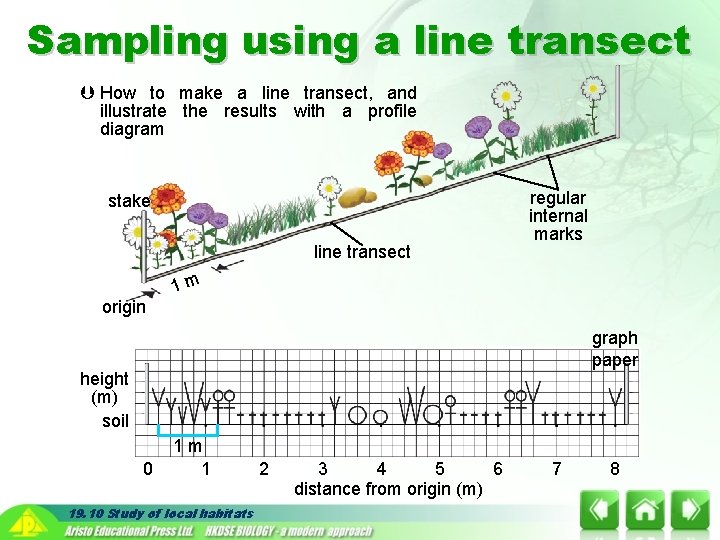 Sampling using a line transect How to make a line transect, and illustrate the