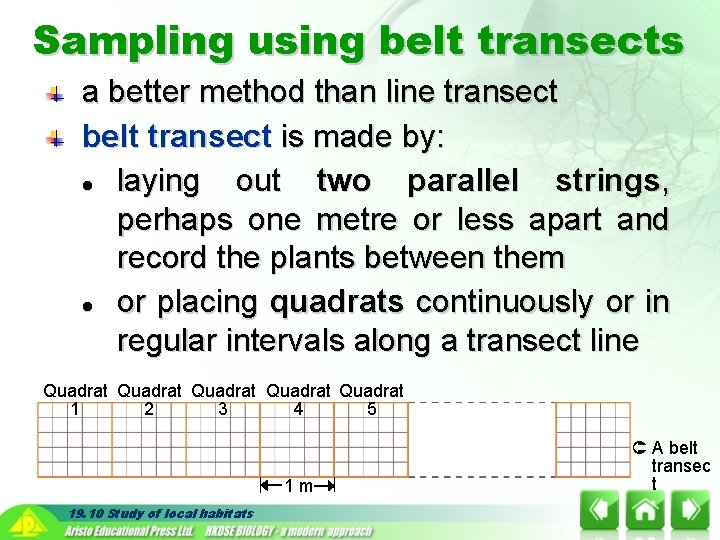 Sampling using belt transects a better method than line transect belt transect is made