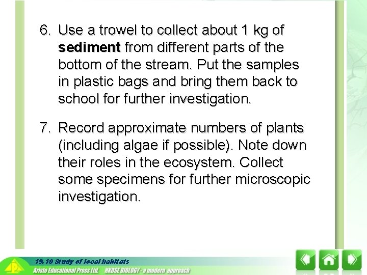 6. Use a trowel to collect about 1 kg of sediment from different parts