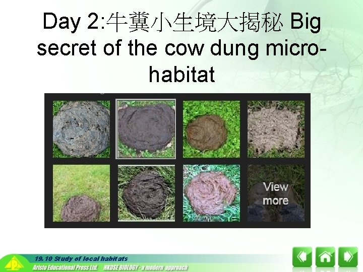 Day 2: 牛糞小生境大揭秘 Big secret of the cow dung microhabitat 19. 10 Study of