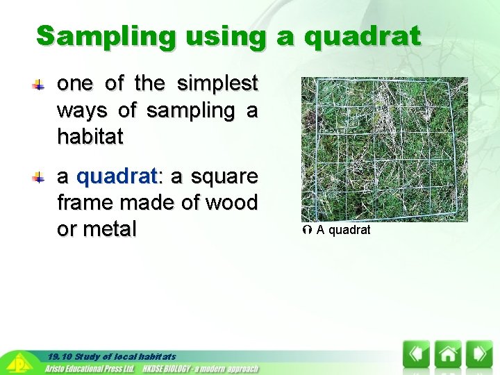 Sampling using a quadrat one of the simplest ways of sampling a habitat a