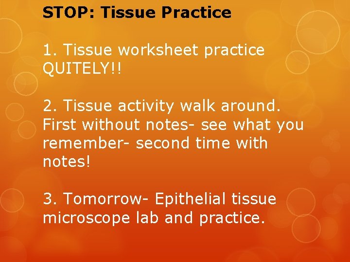 STOP: Tissue Practice 1. Tissue worksheet practice QUITELY!! 2. Tissue activity walk around. First