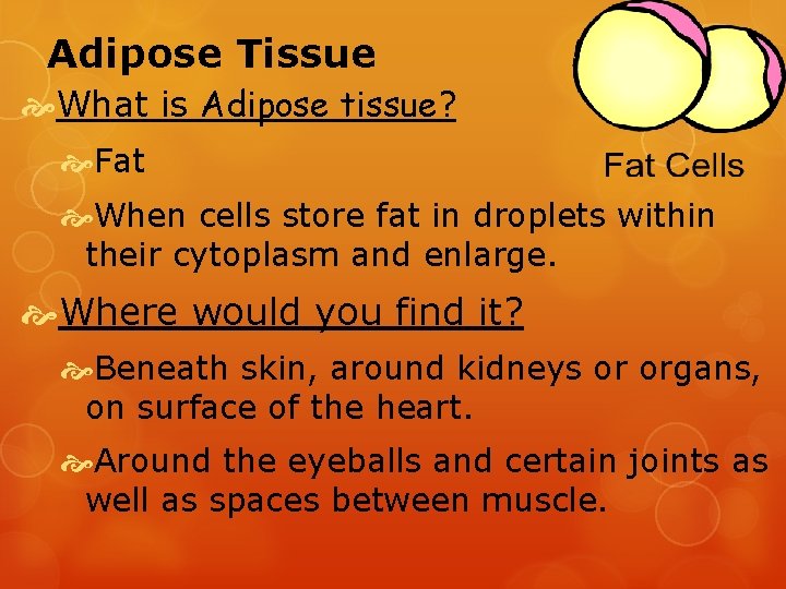 Adipose Tissue What is Adipose tissue? Fat When cells store fat in droplets within