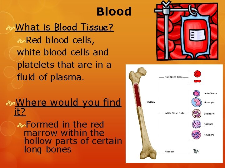 Blood What is Blood Tissue? Red blood cells, white blood cells and platelets that