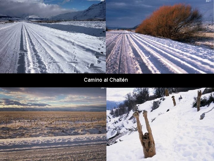 Camino al Chaltén 