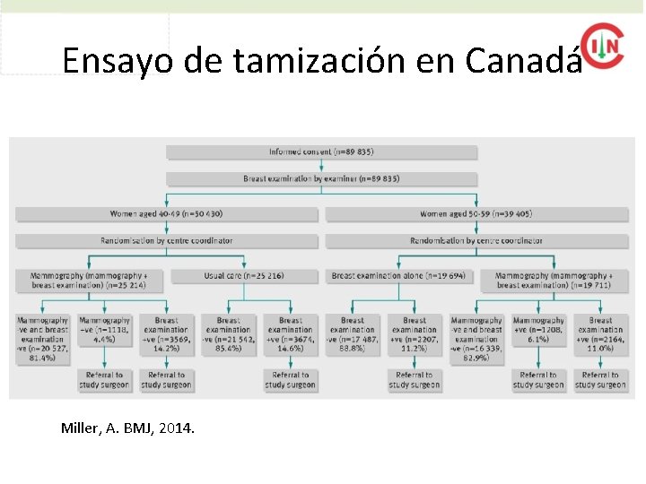 Ensayo de tamización en Canadá Miller, A. BMJ, 2014. 