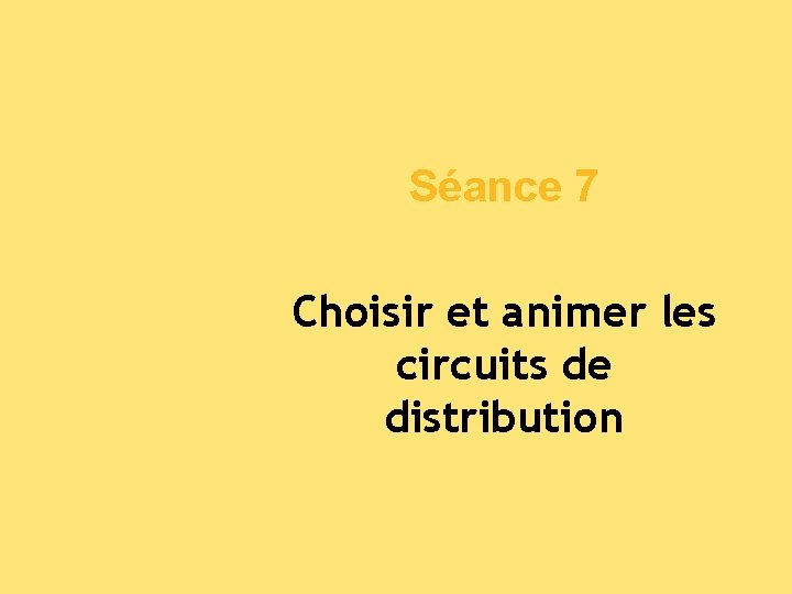 Séance 7 Choisir et animer les circuits de distribution 