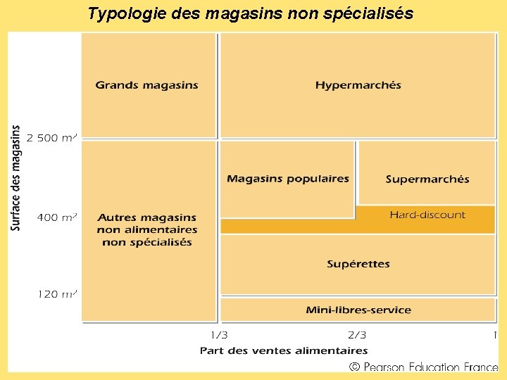 Typologie des magasins non spécialisés 