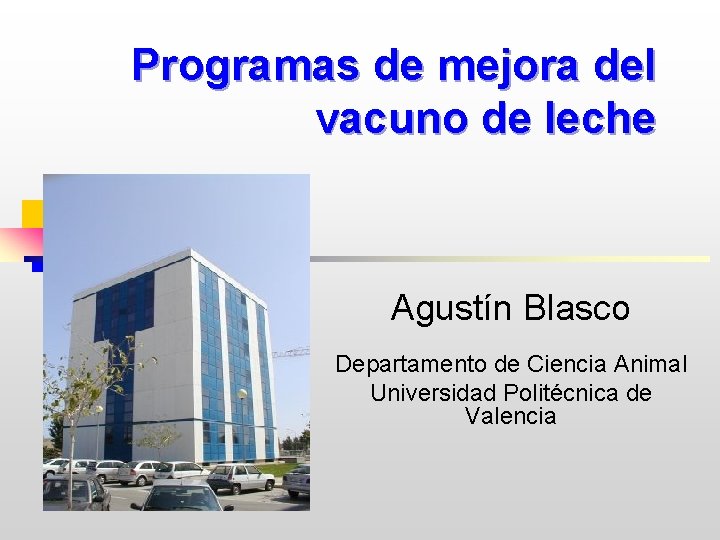 Programas de mejora del vacuno de leche Agustín Blasco Departamento de Ciencia Animal Universidad