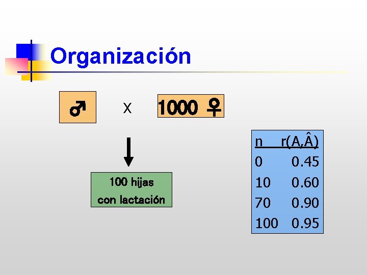 Organización ♂ X 1000 ♀ 100 hijas con lactación n r(A, ) 0 0.