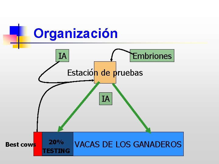 Organización IA Embriones Estación de pruebas IA Best cows 20% TESTING VACAS DE LOS