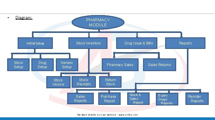  • Diagram: PHARMACY MODULE Initial Setup Stock Setup Drug Setup Generic Setup Stock