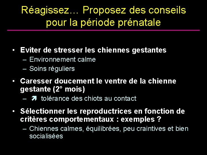 Réagissez… Proposez des conseils pour la période prénatale • Eviter de stresser les chiennes