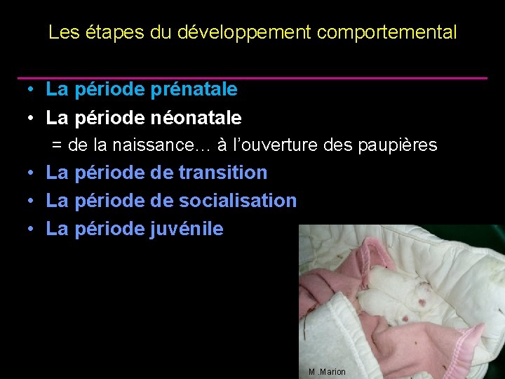 Les étapes du développement comportemental • La période prénatale • La période néonatale =