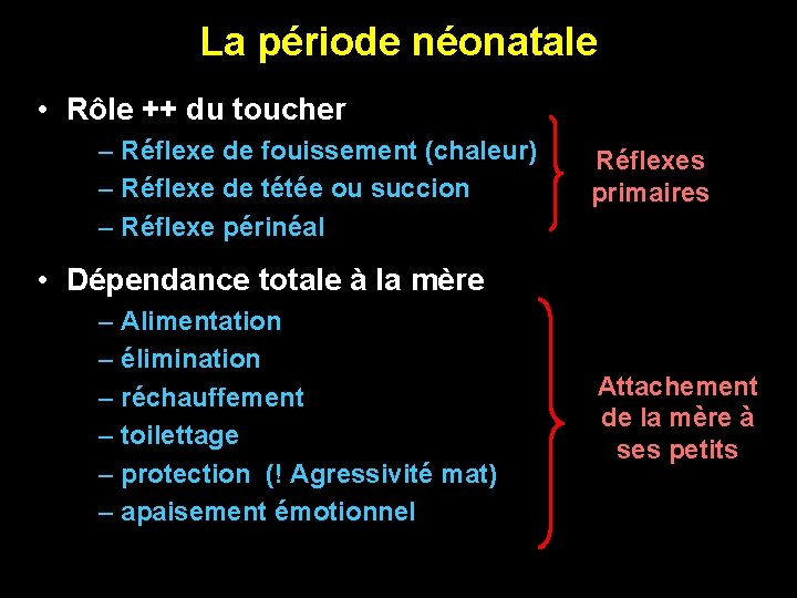 La période néonatale • Rôle ++ du toucher – Réflexe de fouissement (chaleur) –