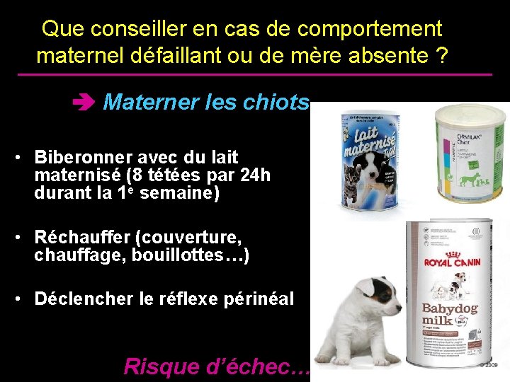 Que conseiller en cas de comportement maternel défaillant ou de mère absente ? Materner