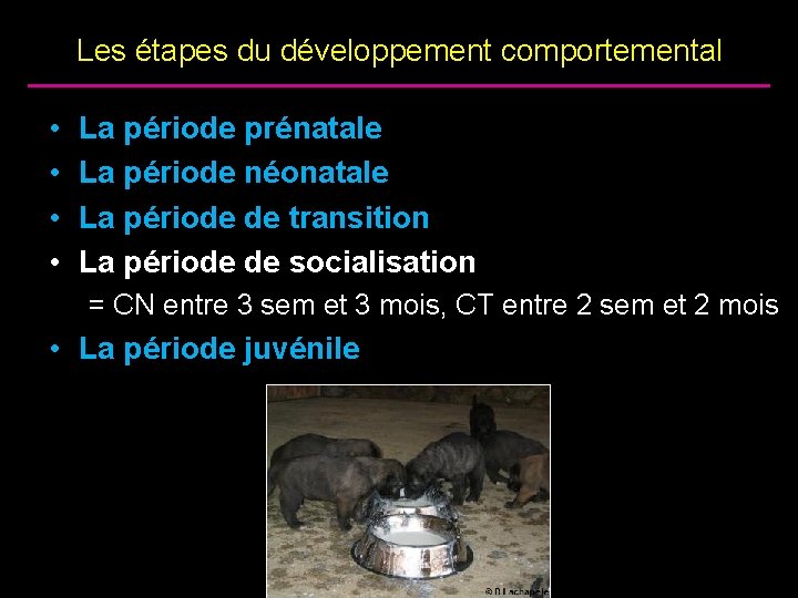 Les étapes du développement comportemental • • La période prénatale La période néonatale La