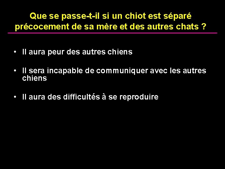Que se passe-t-il si un chiot est séparé précocement de sa mère et des