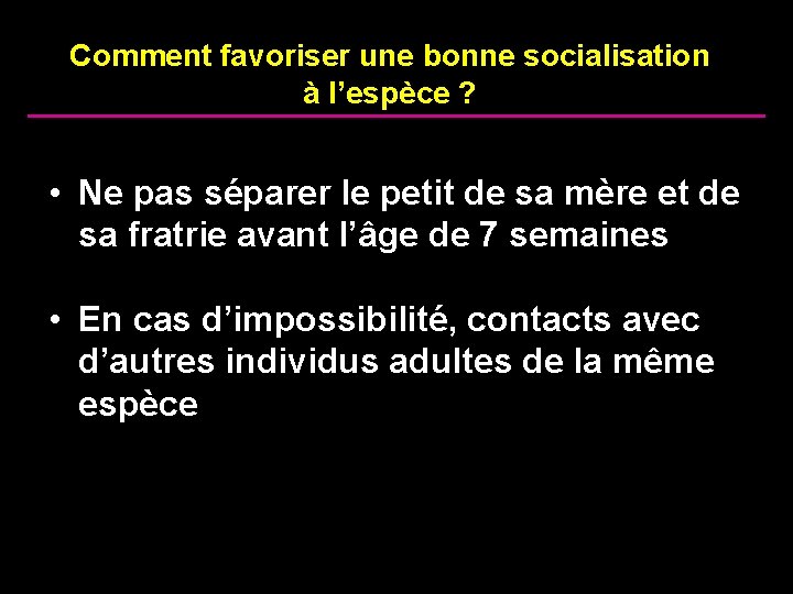 Comment favoriser une bonne socialisation à l’espèce ? • Ne pas séparer le petit