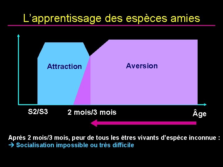 L’apprentissage des espèces amies Attraction S 2/S 3 2 mois/3 mois Aversion ge Après