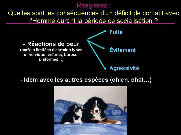 Réagissez : Quelles sont les conséquences d’un déficit de contact avec l’Homme durant la