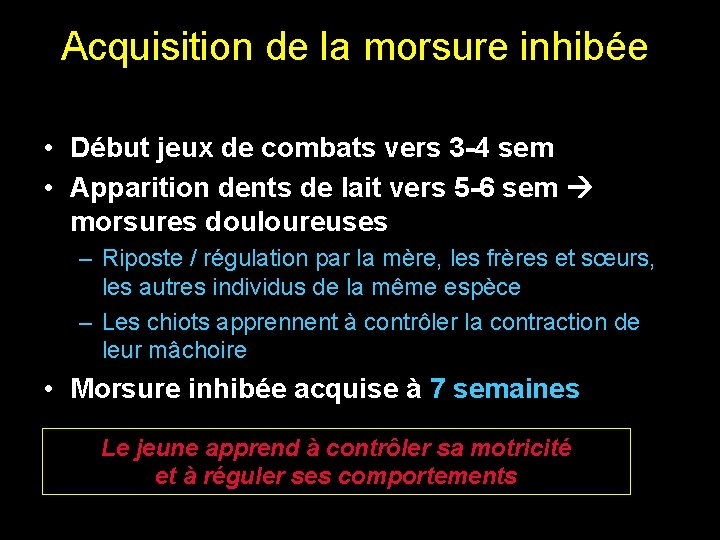 Acquisition de la morsure inhibée • Début jeux de combats vers 3 -4 sem