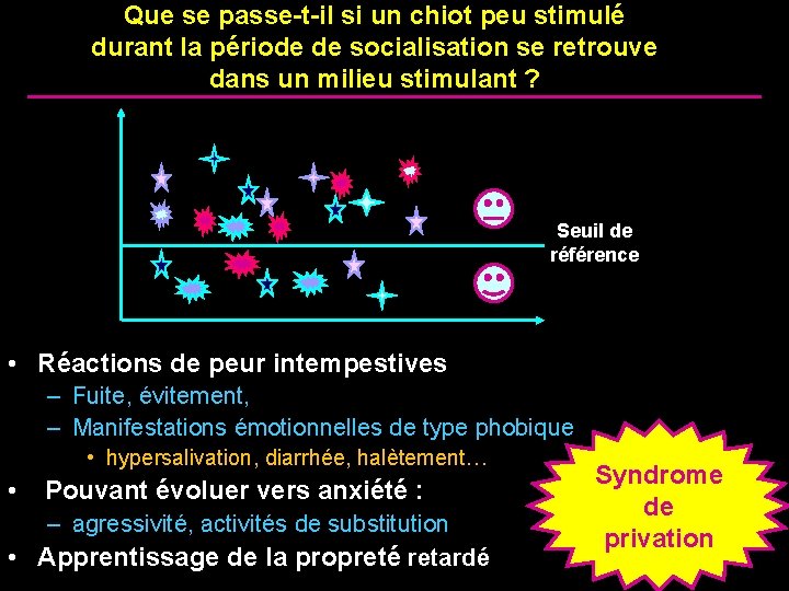 Que se passe-t-il si un chiot peu stimulé durant la période de socialisation se