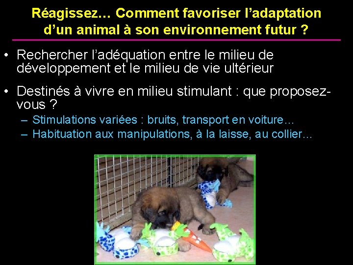 Réagissez… Comment favoriser l’adaptation d’un animal à son environnement futur ? • Recher l’adéquation