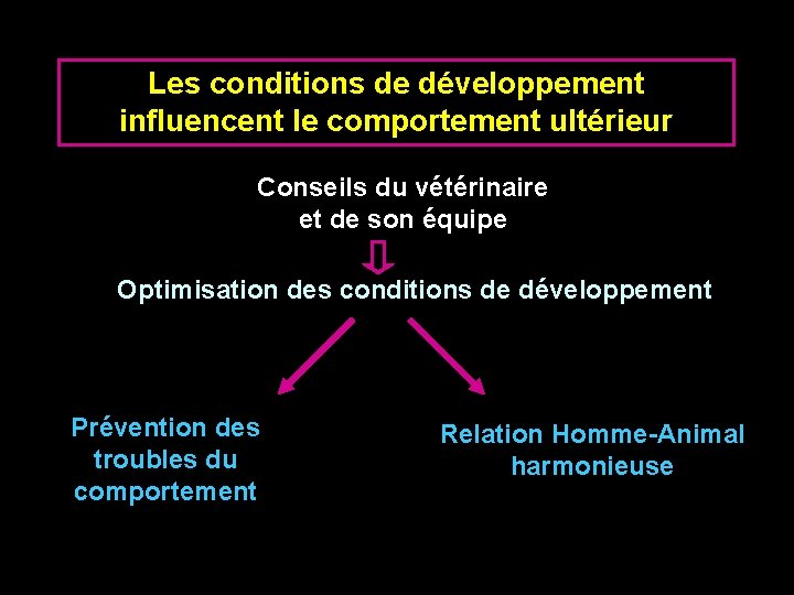 Les conditions de développement influencent le comportement ultérieur Conseils du vétérinaire et de son