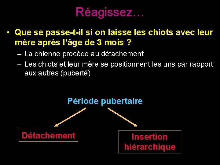 Réagissez… • Que se passe-t-il si on laisse les chiots avec leur mère après